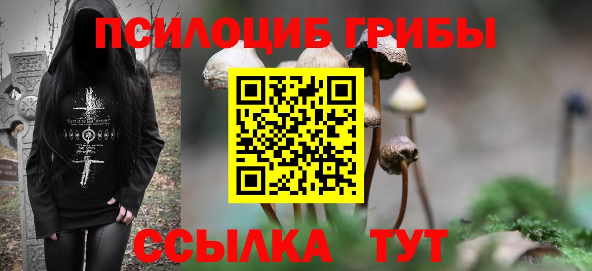 Керчь  Псилоцибиновые грибы MAGIC MUSHROOMS  Вход с VPN  Псилоцибиновые грибы Magic Shrooms 